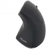 Equip 245110 Vertikale ergonomische Funkmaus - Rechtshänder - 2,4 GHz - USB-Empfänger - Schwarz