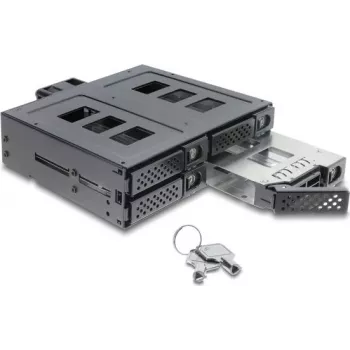 Delock 5,25-Zoll-Einbaurahmen für 4 x 2,5-Zoll-SATA- oder SAS-HDD / SSD mit Schloss
