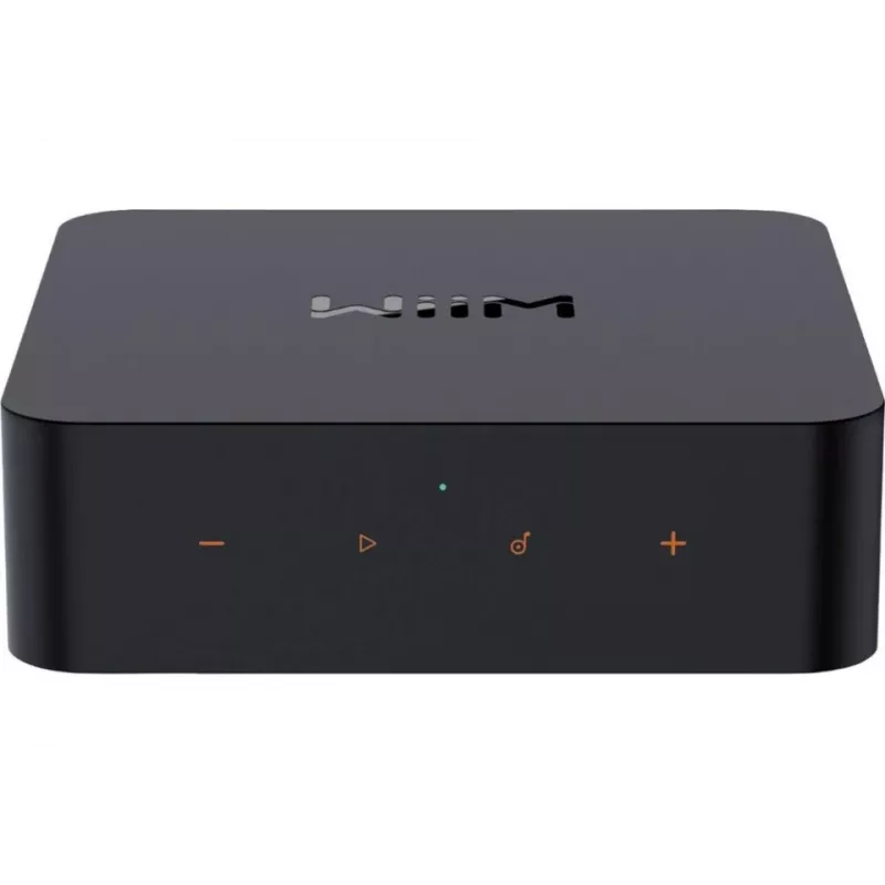WiiM Pro Netzwerk-Player - AirPlay 2, Chromecast, Multiroom-Streamer