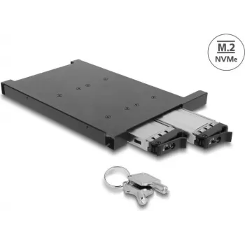 Delock Adapterrahmen für 2 x M.2 NVMe SSD mit SFF-8654-Anschluss für 12,7 mm Slim-ODD-Bay (47138)