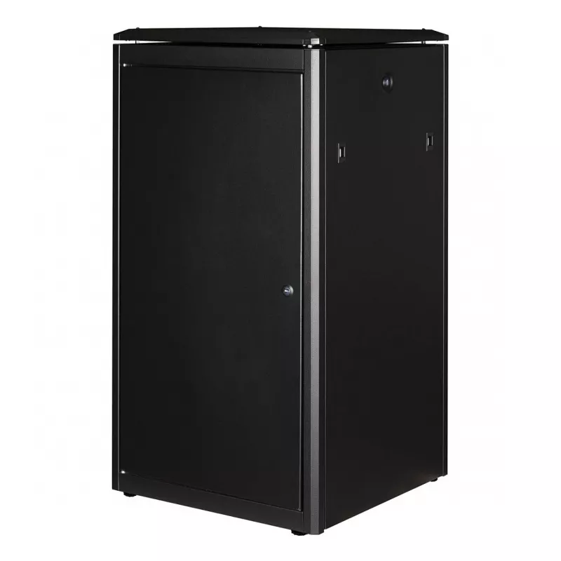 ROLINE 19-Zoll Netzwerkschrank Pro 22U, 600x600 mm (BxT), Glastür, Schwarz
