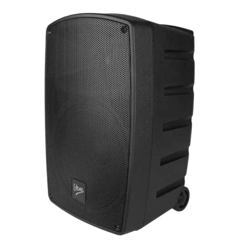 V-TONE BQ12 GO MP3 Aktiv-Lautsprecher 8 inch mit Akku, drahtlosem Mikrofon und Fernbedienung, Schwarz