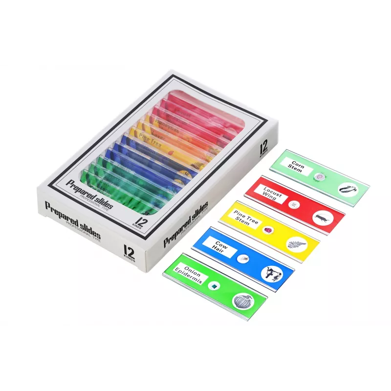 Levenhuk LabZZ DM200 LCD Digitalmikroskop