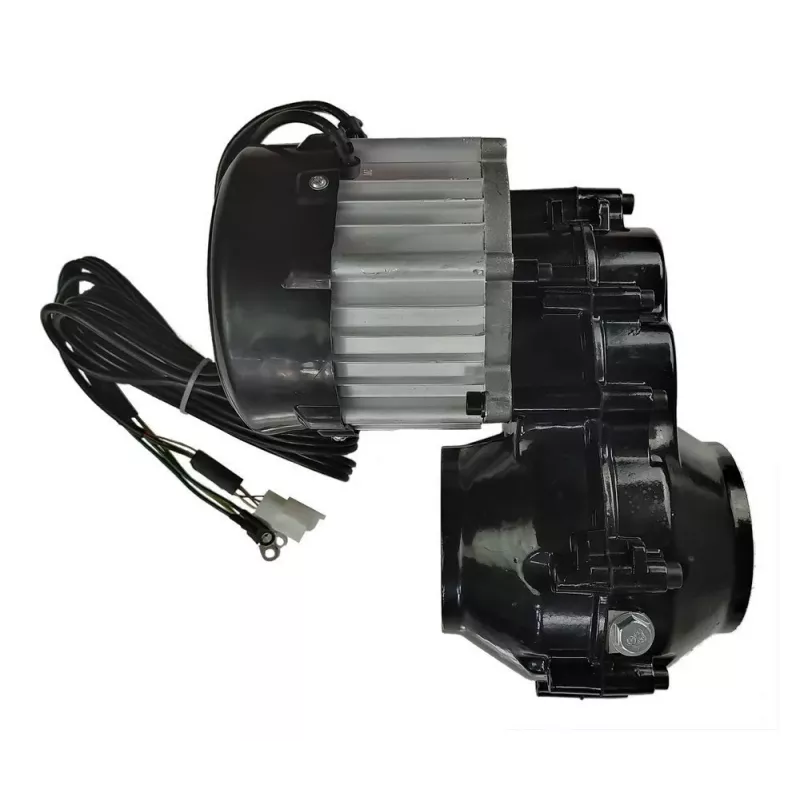 LEAN CARS Motor für Perfecta YSA021 24V 180W