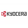 Kyocera DK-3170(E) Original Drum Unit - 300.000 Seiten