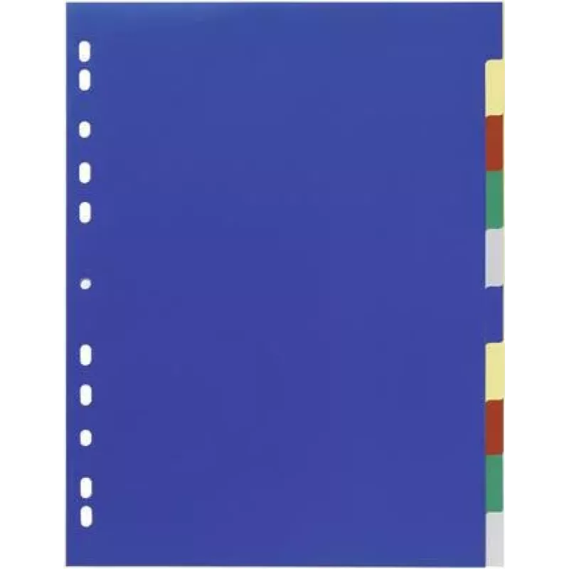 Durable Kunststoff-Register A4 PP 10-teilig extra breit mit farbigen Blanko-Taben, Vollabdeckung mit Deckblatt (6747-27)