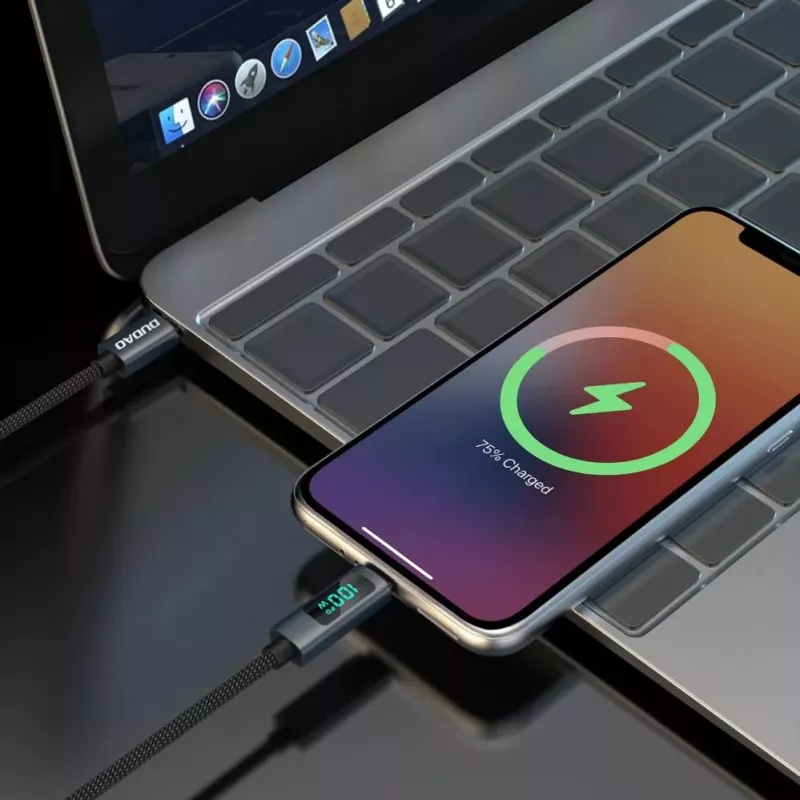 Dudao L7C USB-C auf USB-C 100W Kabel mit LED-Anzeige 1m - Schwarz