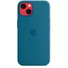 Apple iPhone 13 Silicone Case mit MagSafe Blauhäher