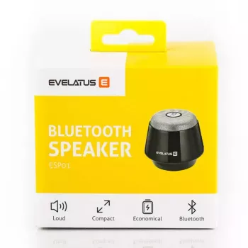 Evelatus ESP01 Bluetooth Lautsprecher Silber
