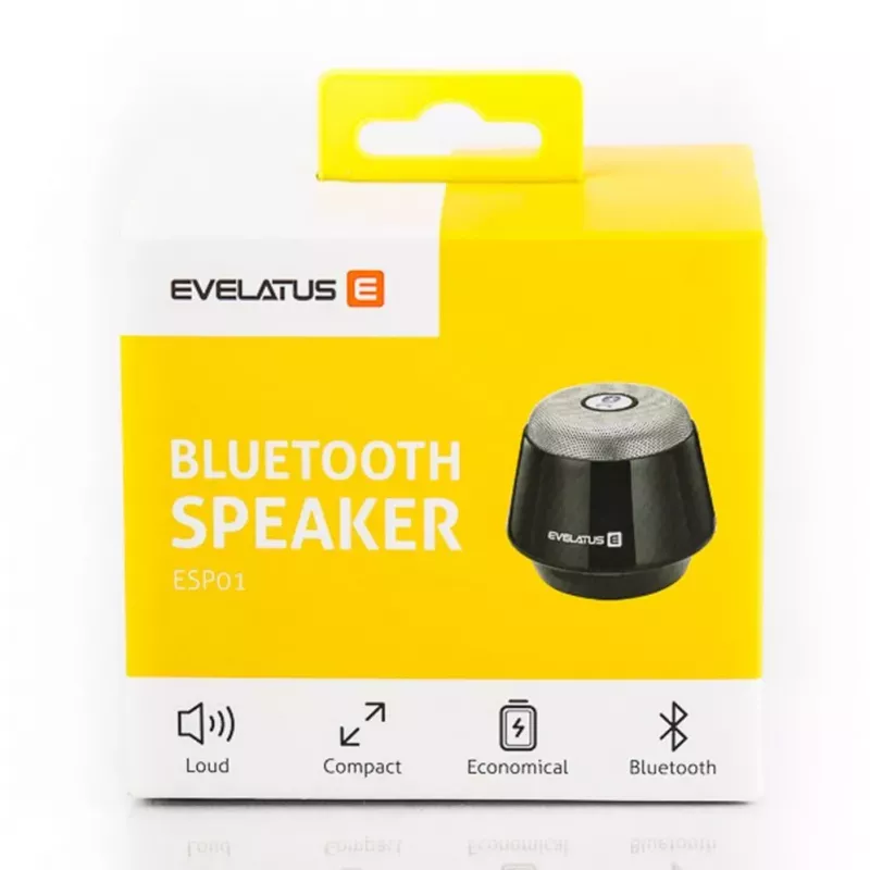 Evelatus ESP01 Bluetooth Lautsprecher Silber