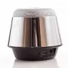 Evelatus ESP01 Bluetooth Lautsprecher Silber