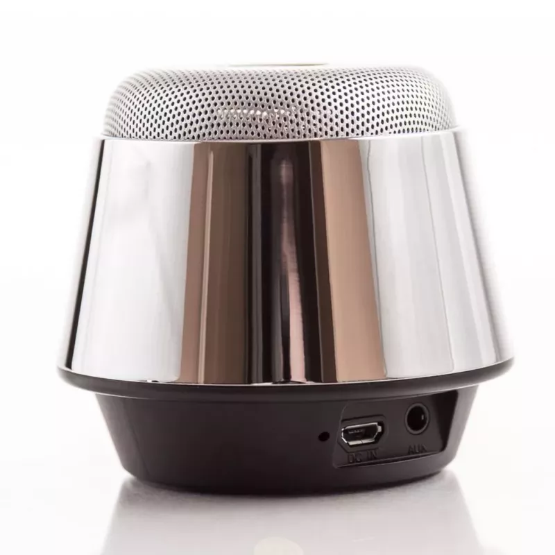 Evelatus ESP01 Bluetooth Lautsprecher Silber