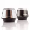 Evelatus ESP01 Bluetooth Lautsprecher Silber