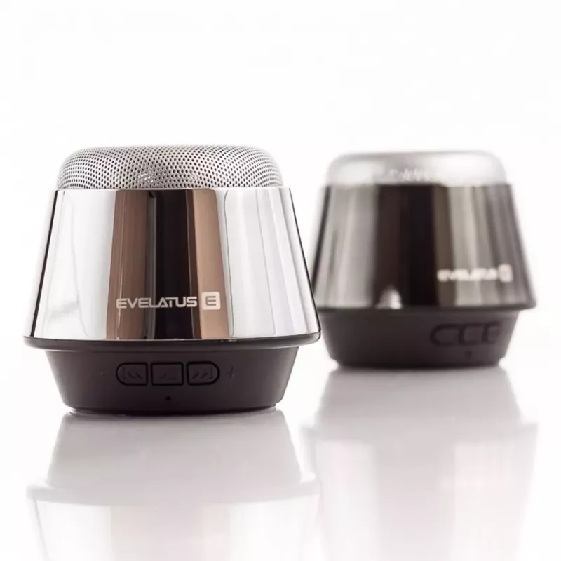Evelatus ESP01 Bluetooth Lautsprecher Silber
