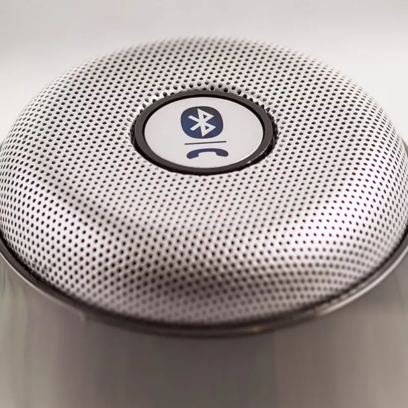 Evelatus ESP01 Bluetooth Lautsprecher Silber