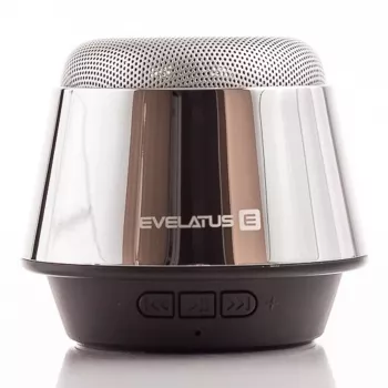 Evelatus ESP01 Bluetooth Lautsprecher Silber