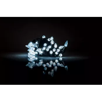 iLike Robin 2-Farben LED Lichterkette 2m batteriebetrieben