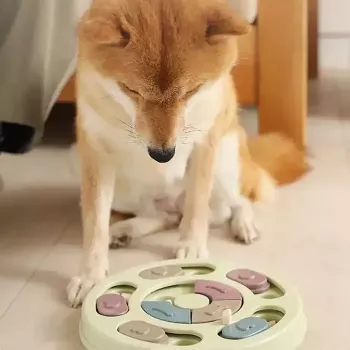 iLike Dog Treat Puzzle Feeder diam. 24 cm Interaktives Slow-Eating-Spielzeug Trainingsspiel Multicolor