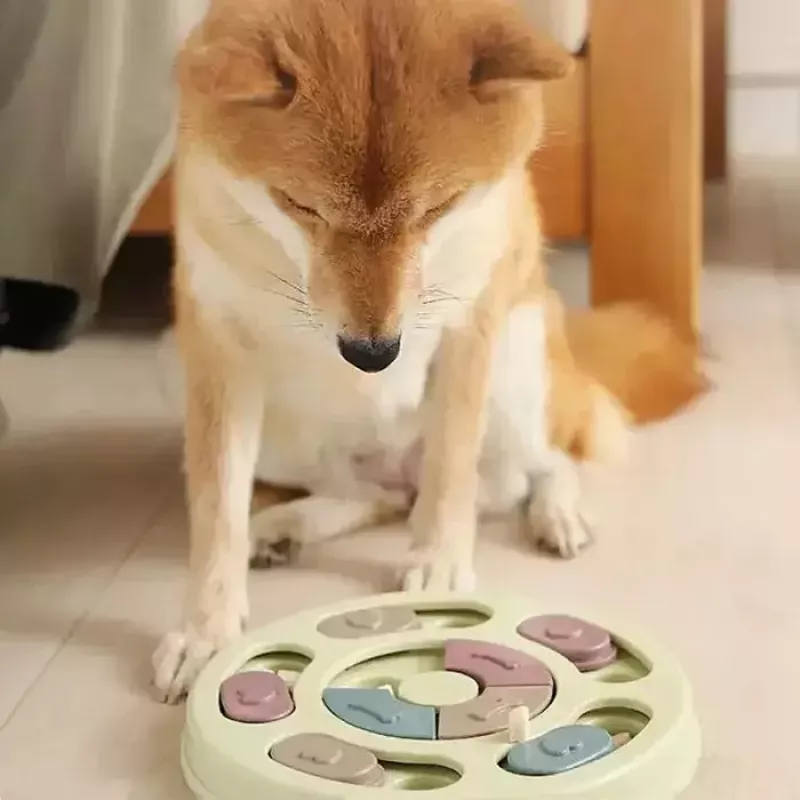 iLike Dog Treat Puzzle Feeder diam. 24 cm Interaktives Slow-Eating-Spielzeug Trainingsspiel Multicolor