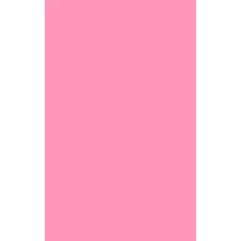 Evelatus Universal Color Shinning A3 Film for Screen Cutter Light Pink