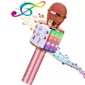 HQ Royal Song WS-858 Karaoke Mikrofon mit Lautsprecher und Aufnahme für Kinder & Erwachsene