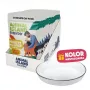 ANIMAL ISLAND NEW JELLY EVERYDAY 12x85g mit Fütterungsteller