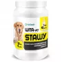 EWE EUROWET Wita-Vet Joints - Nahrungsergänzungsmittel für Hunde - 30 Tabletten