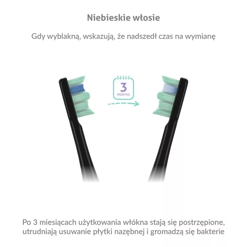 TLF TrueLife SonicBrush Clean30 Schwarz Erwachsene Schallzahnbürste