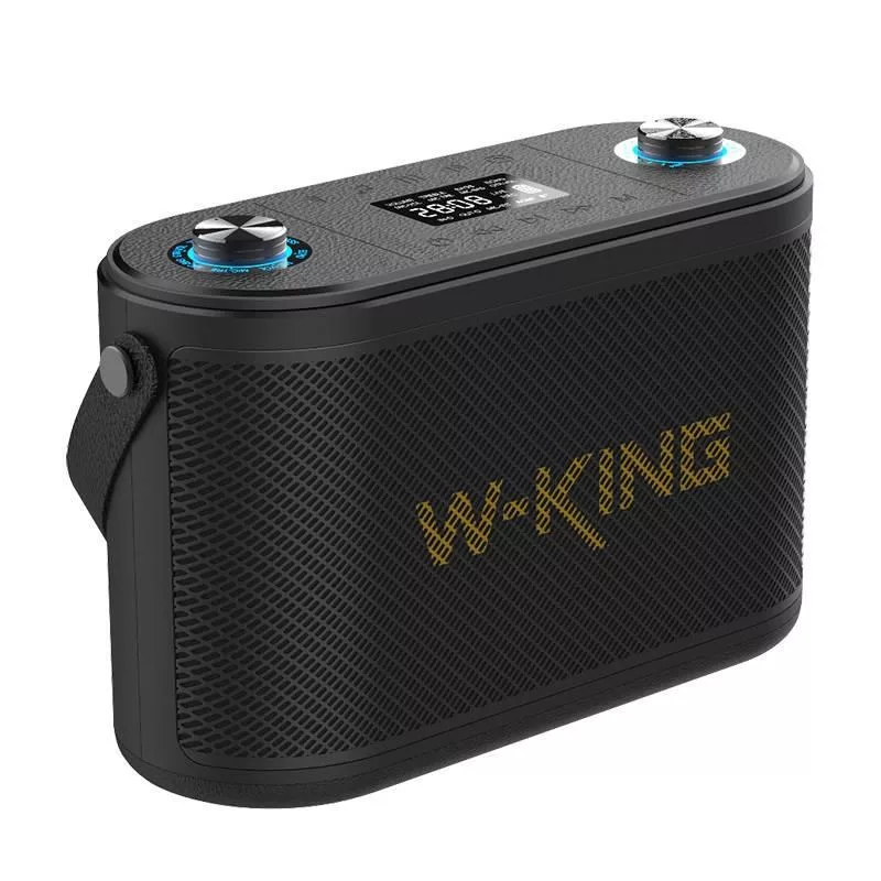 W-KING H10 Tragbarer Bluetooth-Lautsprecher 120W RGB-Lichter IPX6 Schwarz