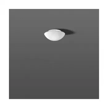RZB 211005.002 Opalglas-Leuchte 60W IP43 Seidenmatt D=250mm