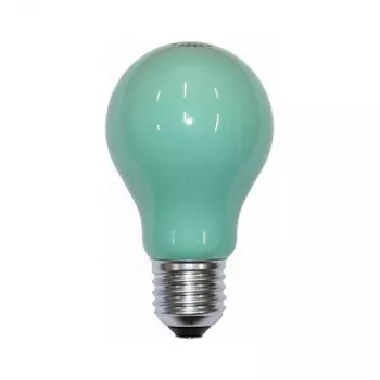 Scharnberger 40246 Glühlampe 25W Grün B60x105mm E27 240V