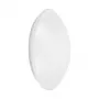 Osram SURFACE CIRCULAR 400 24W 830 IP44 LED Wandleuchte/Deckenleuchte 3000K 1920lm