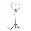 RIO RL12-EU/1,4 30cm Studio RGB Beauty Ring Light