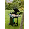 Barbecook Gasgrill Spring 3112 mit Aufbewahrung, 115 x 55 x 133 cm
