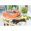 Barbecook BC-ELE-1001 E-Carlo Elektrischer Tischgrill 2500 W Rot