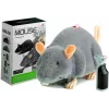 LEAN TOYS Große RC Maus auf Rädern Grau - Streich spielen