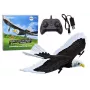 LEAN TOYS Eagle Bird Remote Controlled RC Plane 2.4G 41cm x 28cm x 5cm