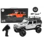 LEAN TOYS Remote Controlled RC 2.4G Off-Road Vehicle 4x4 Gray