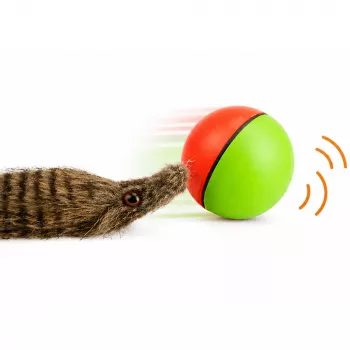 LEAN TOYS Ball mit flauschigem Frettchenschwanz interaktives Badspielzeug