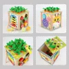 LEAN TOYS Wooden Educational Cube Sorter 5in1 Puzzle Box Blocks