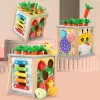 LEAN TOYS Wooden Educational Cube Sorter 5in1 Puzzle Box Blocks