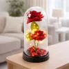 LEAN Eternal 2 Roses in Dome with LED Lighting and Rose Petals Red 21x11cm