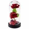 LEAN Eternal 2 Roses in Dome with LED Lighting and Rose Petals Red 21x11cm