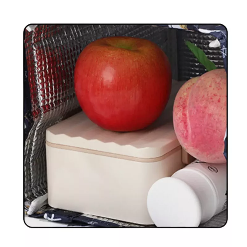 LEAN Thermische Isolier-Frühstückstasche Lunchtasche Pink 24cm