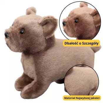 LEAN TOYS Plüsch-Maskottchen Kuscheltier Kleiner Hund Braun 19 cm