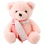 LEAN TOYS Plüsch-Maskottchen Kuscheltier Teddybär mit Schal Pink 35cm