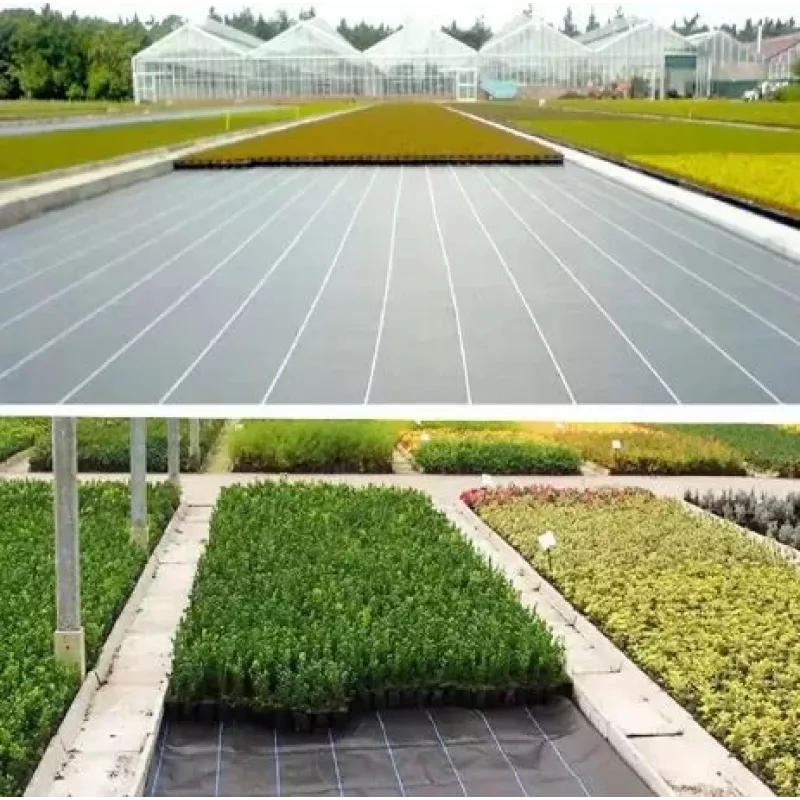 LEAN Black Agrotextile 100 cm x 50 m UV 70 g Anti-weed Agrotextile + Anchors