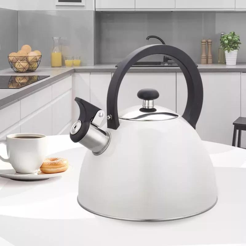MEO Maestro Nicht-elektrischer Wasserkocher 2,5L MR-1302-WG Edelstahl