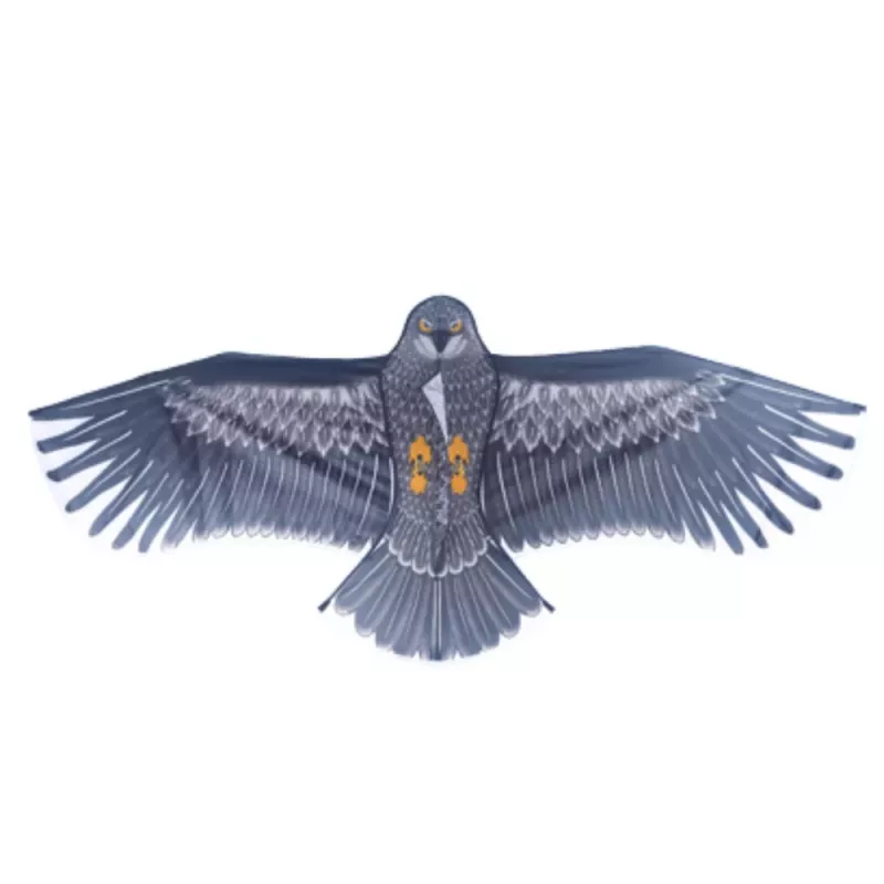 LEAN TOYS Adler-förmiger Drachen mit Seilgriff 150 x 70 cm