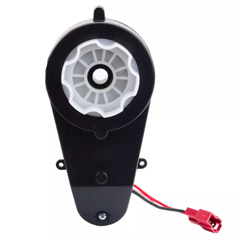 LEAN CARS 12V 45W RS550 35000RPM Bürstenbehafteter Gleichstrommotor für Elektro-Kinderfahrzeuge